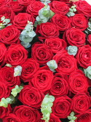 50 Valentine Premium Roses ❤️